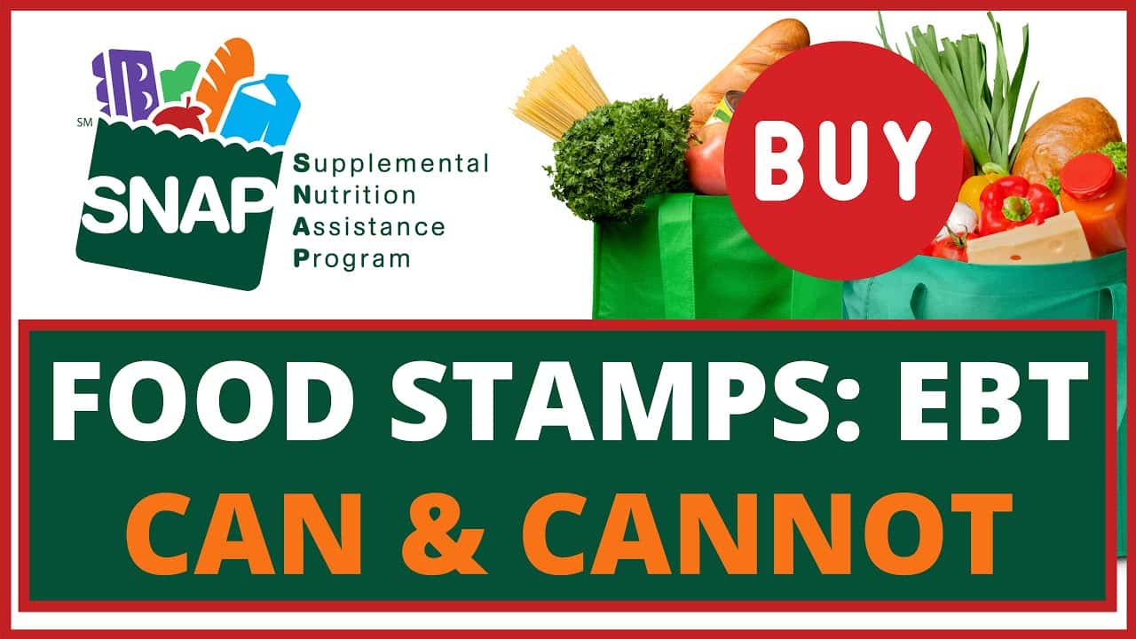 Things you can buy with food stamps and SNAP payments PelhamPlus