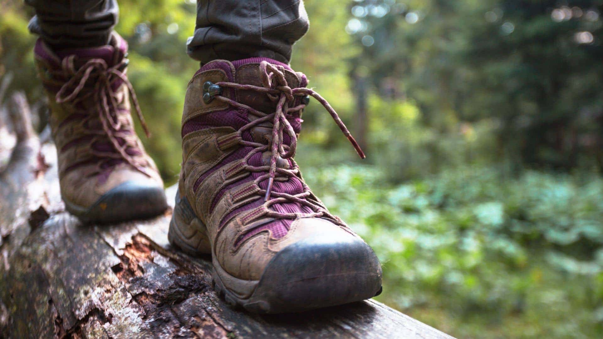 Best Ankle Support Hiking Boots To Purchase That Will Guarantee You ...