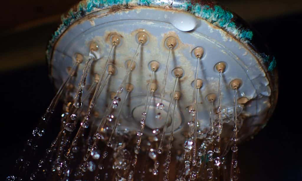 People are disgusted after learning about the diseases that can be